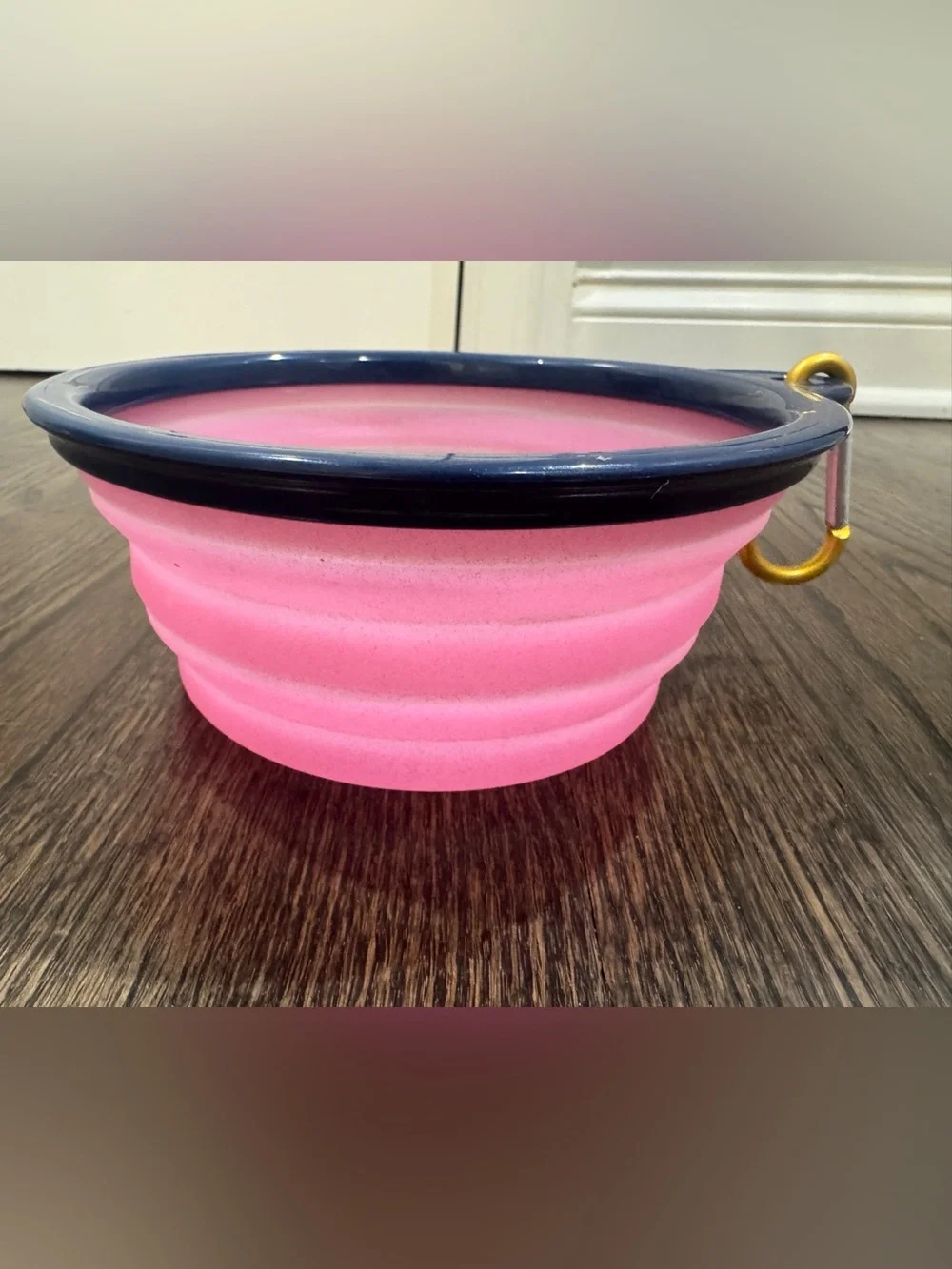 Dabney Lee Collapsible Travel Pet Bowl With Clip